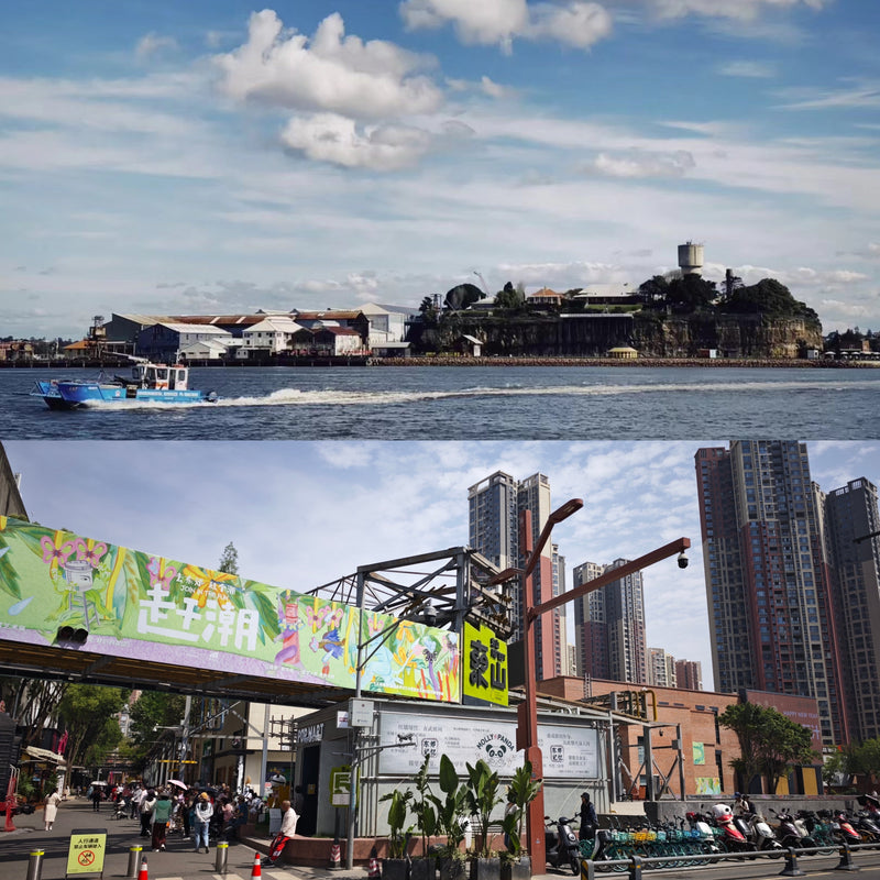 The $4,000 Cavity treatment that Changed Everything